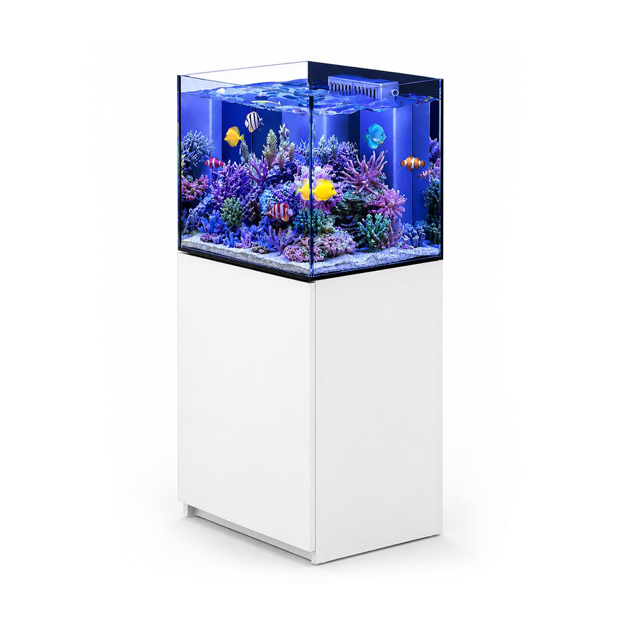 90 Gallon Coral Reef Aquarium Ultra Clear Glass Tank & Built in Sump All White
