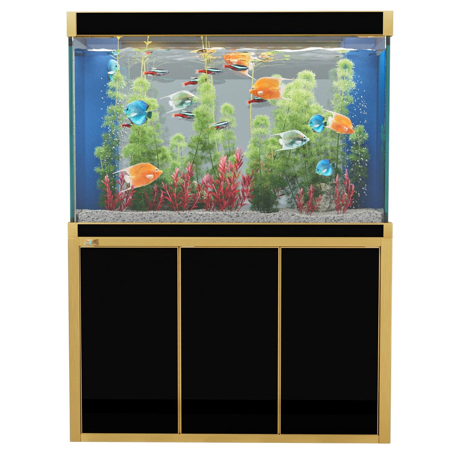 Pecera Aqua Dream de 135 galones de vidrio templado negro con dorado