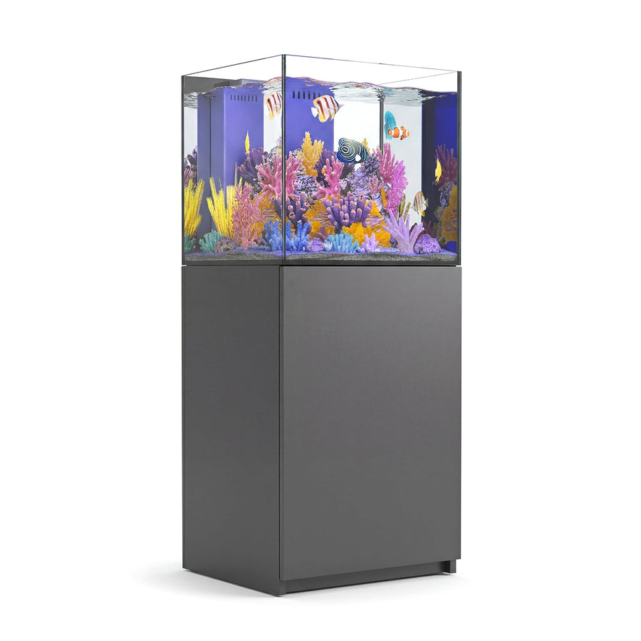 37 gallon aquarium
