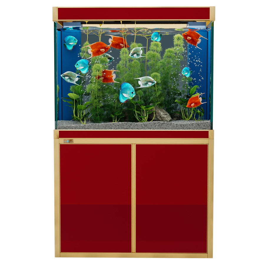 Acuario de vidrio templado Aqua Dream de 100 galones, rojo y dorado