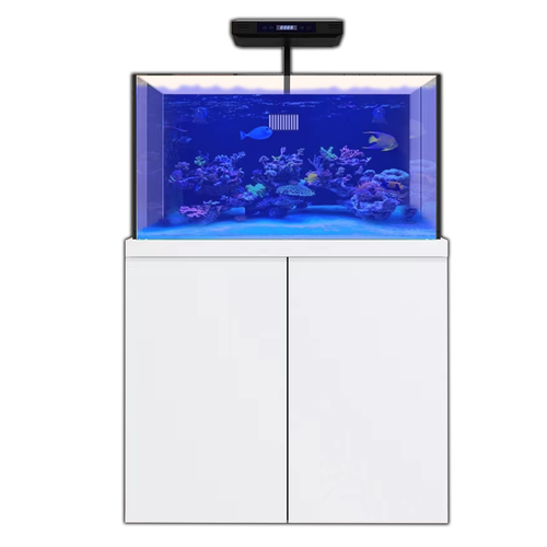 100 Gallon Aquarium Coral Reef Fish Tank Complete Set including one Coral light & one Protein Skimmer