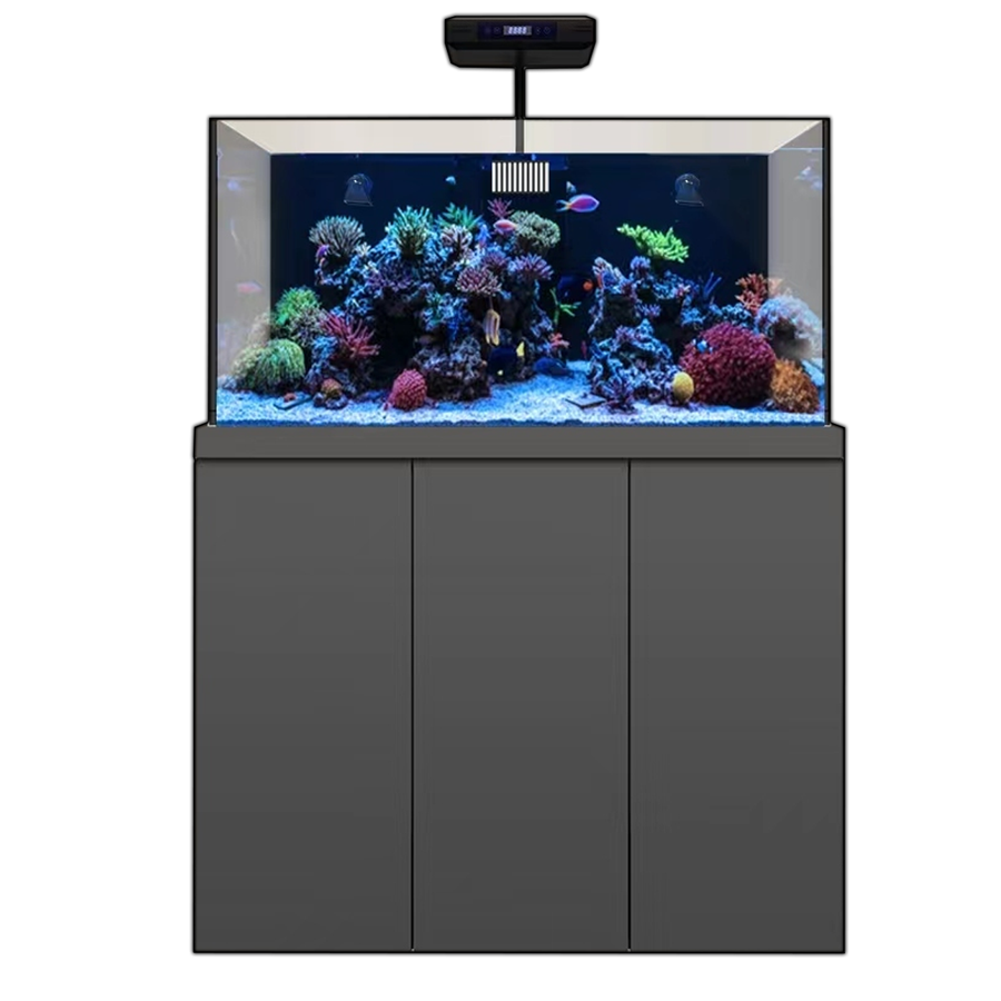 Acuario completo de arrecife de coral de 175 galones con dos luces para corales y un espumador de proteínas