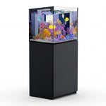 50 gallon aquarium