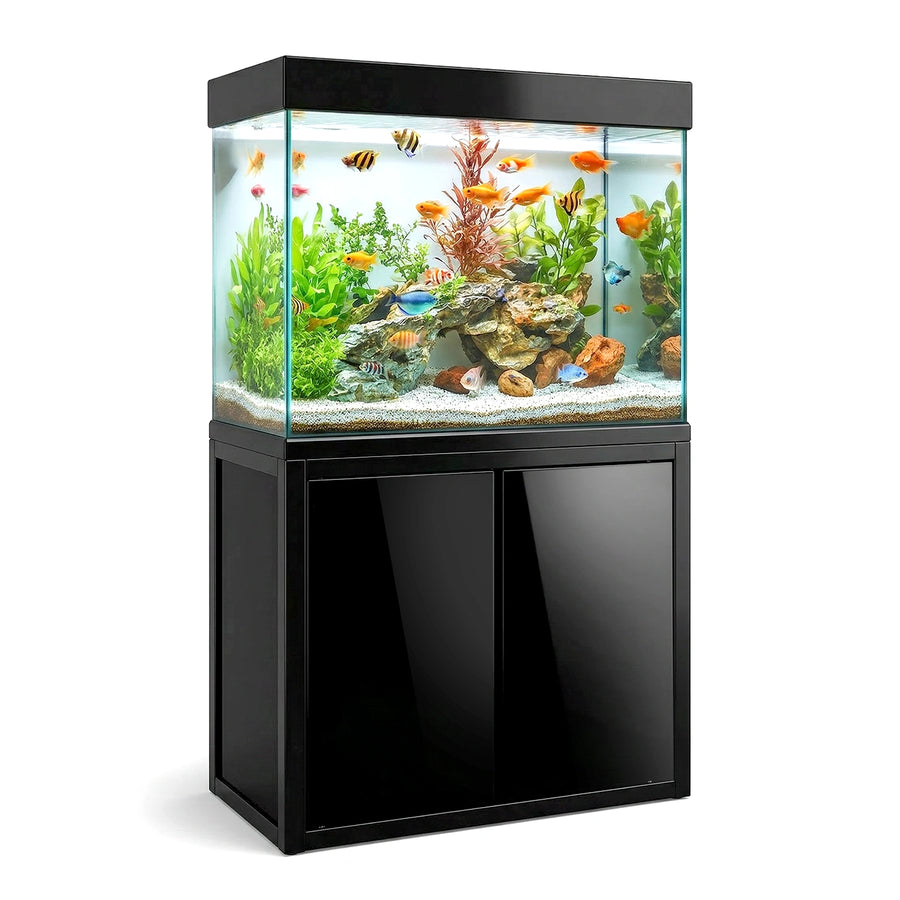 Aqua Dream 50 Gallon Aquarium Black Tempered Glass