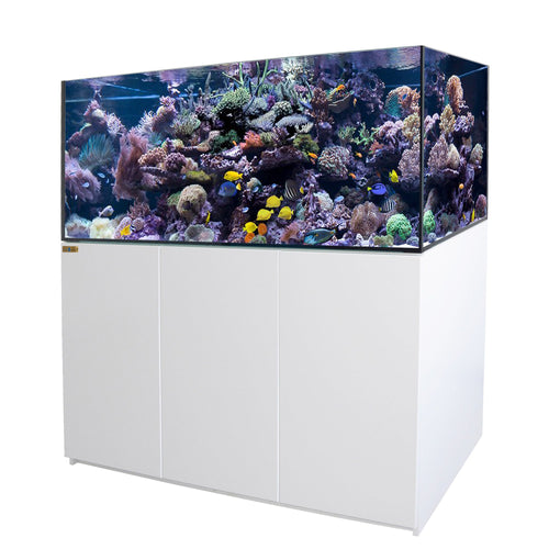 185 Gallon Coral Reef Aquarium Ultra Clear Glass Tank & Built in Sump All White - UPDATE