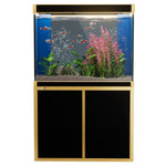 Acuario de vidrio templado Aqua Dream de 100 galones, negro y dorado