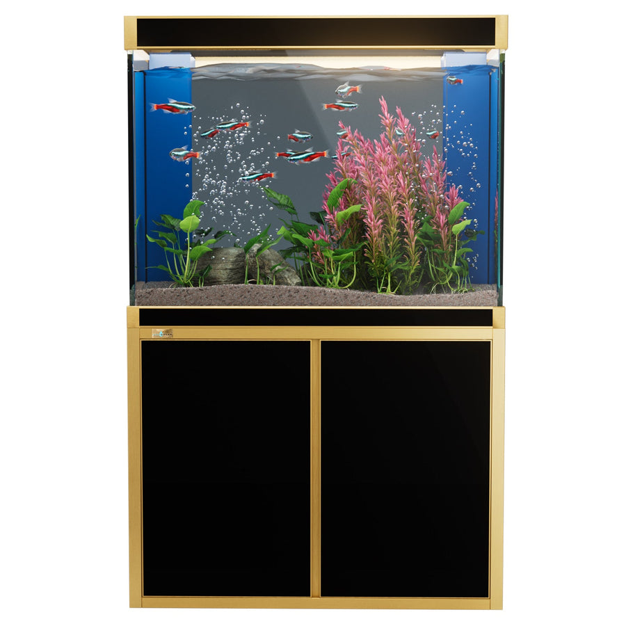 Acuario de vidrio templado Aqua Dream de 100 galones, negro y dorado