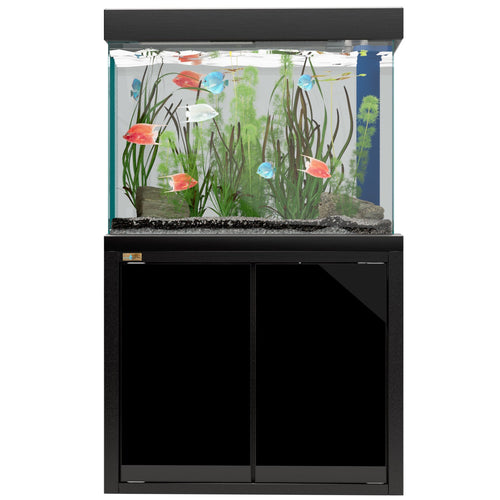 100 gallon fish tank aquarium