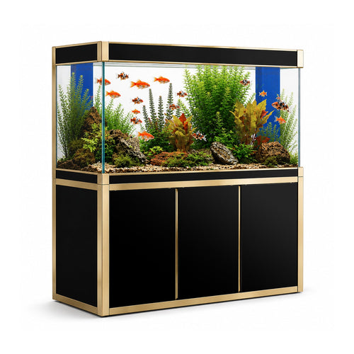 Aqua Dream 175 Gallon Tempered Glass Aquarium Black and Gold