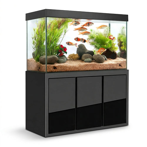 Aqua Dream 135 Gallon Tempered Glass Aquarium Black