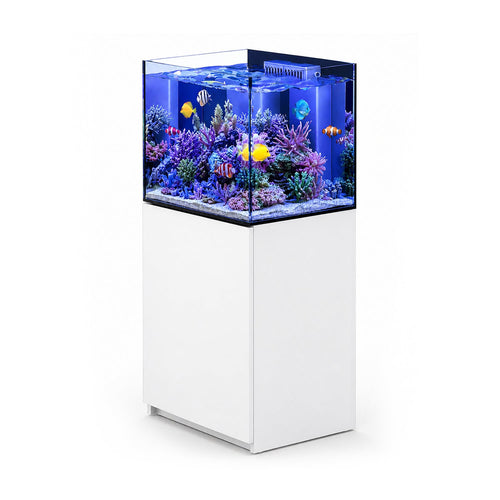 90 Gallon Coral Reef Aquarium Ultra Clear Glass Tank & Built in Sump All White