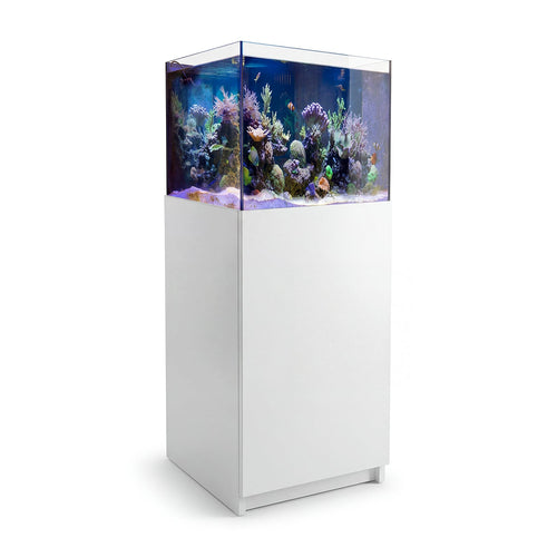 50 Gallon Reef Tank Aquarium Ultra Clear Glass & Built in Sump All White