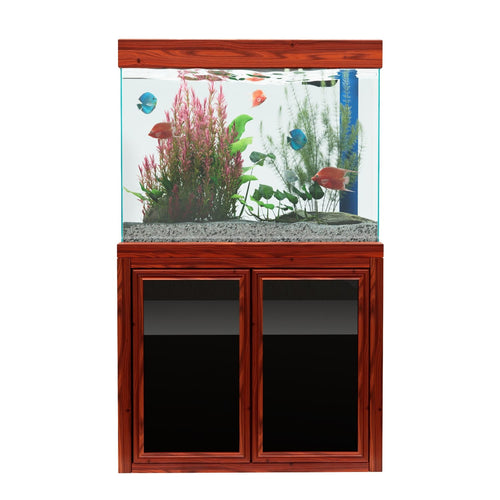 50 Gallon Tank