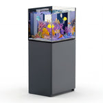 silver rimless aquarium