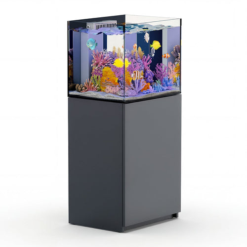 silver rimless aquarium