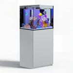63 gallon aquarium