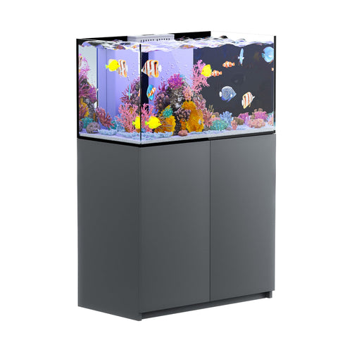 100 gallon aquarium with stand and sum