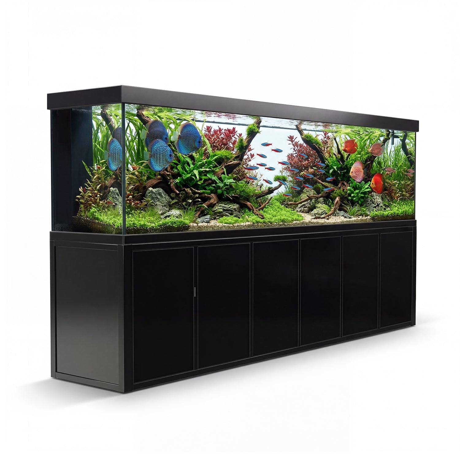 Aquariums & Supplies – AQUADREAMDIRECT