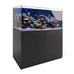 145 gallon reef aquarium complete set