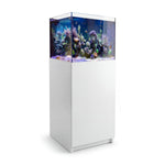 37 gallon aquarium