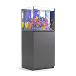 37 gallon aquarium