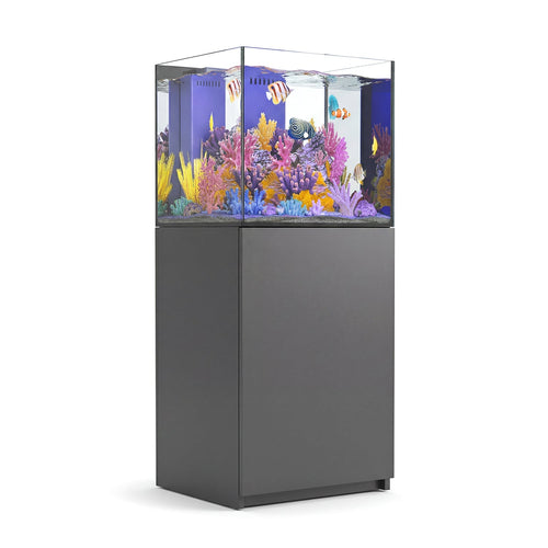37 gallon aquarium