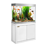 110 gallon tank