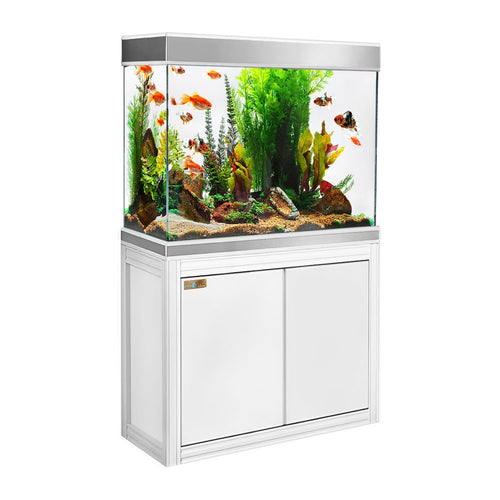 110 gallon tank