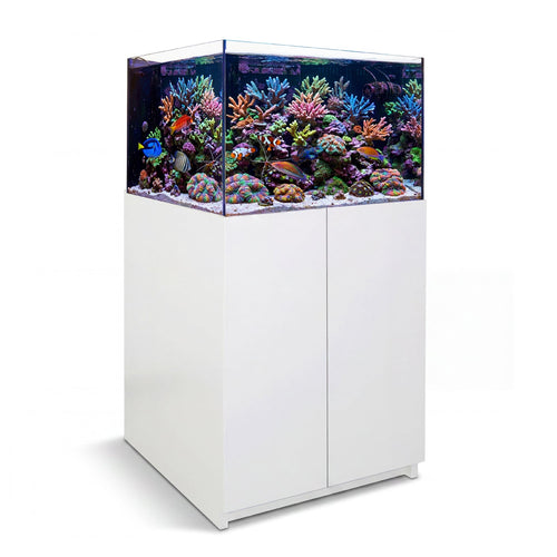115 gallon aquarium with stand and sump
