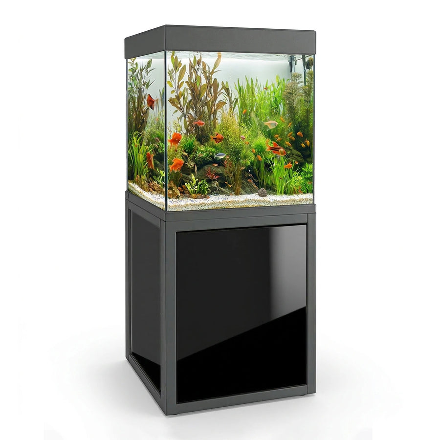 40 Gallon Fish Tank and Stand - Black Finish | Exact 40 Gallon Breeder Dimensions