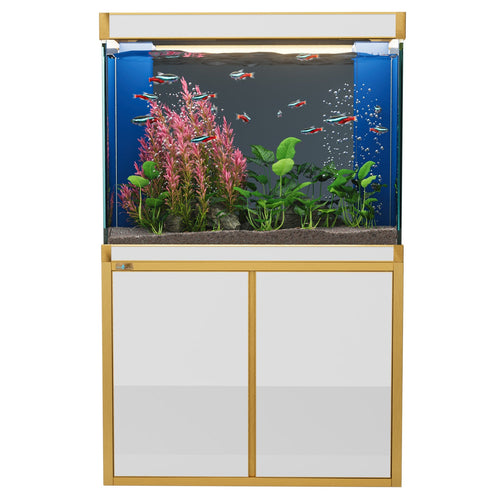 100 gallon aquarium