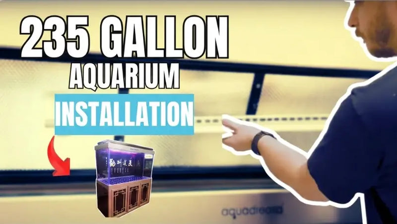 Aquadream 235 Gallon Aquarium (AD-1530-SILVER)