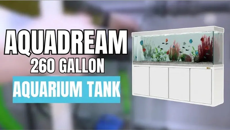 Aquadream 260 Gallon Aquarium (AD-1980-WS)