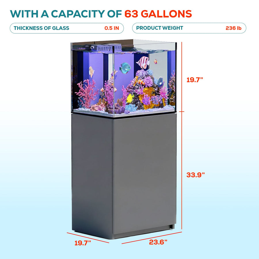 silver rimless aquarium