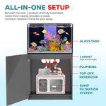 90 gallon reef aquarium