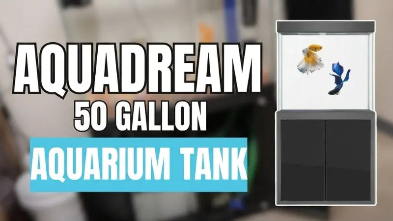 Aquadream 50 Gallon Aquarium (AD-860-ABK)