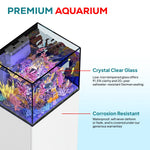 37 gallon aquarium