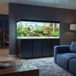 260 gallon aquarium with stand sump and LED black