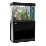100 gallon fish tank aquarium