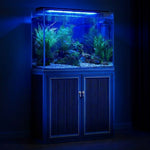 50 Gallon Aquarium with Cabinet Stand | Modern Glass Fish Tank - Dark Grey