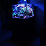 Coral Reef Aquarium 90 Gallon Ultra Clear Glass Tank & Built in Sump All Black