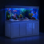 220 Gallon All-in-One Aquarium with Stand and Sump | White & Silver