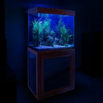 Aqua Dream 40 Gallon Tempered Glass Aquarium Redwood