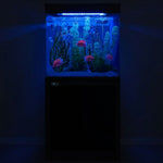 40 Gallon Fish Tank and Stand - Black Finish | Exact 40 Gallon Breeder Dimensions