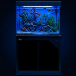 Aqua Dream 50 Gallon Aquarium Black Tempered Glass