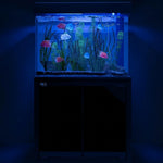 Pecera Aqua Dream de 100 galones, acuario de cristal templado, negra