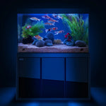 Acuario Aqua Dream de 135 galones de cristal templado, negro