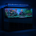 Acuario todo en uno de 400 galones con mueble, sumidero húmedo/seco incorporado y bomba de 2000 GPH | Pecera de vidrio templado de bajo contenido de hierro ultra transparente — Lista para agua salada y dulce, completamente negra