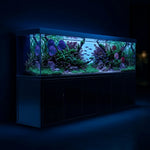Acuario todo en uno de 500 galones con soporte de aluminio, sumidero incorporado y luz LED | Tanque de vidrio templado ultra claro con bajo contenido de hierro, apto para agua salada y dulce, todo en negro