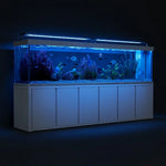 Acuario todo en uno de 500 galones con soporte de aluminio, sumidero incorporado y luz LED | Tanque de vidrio templado ultra claro de bajo contenido en hierro — Listo para agua salada y dulce, blanco plateado